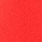 CAPSULE TOP | RED ROSE