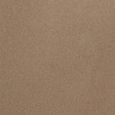 BRONTE TOP | TRUFFLE